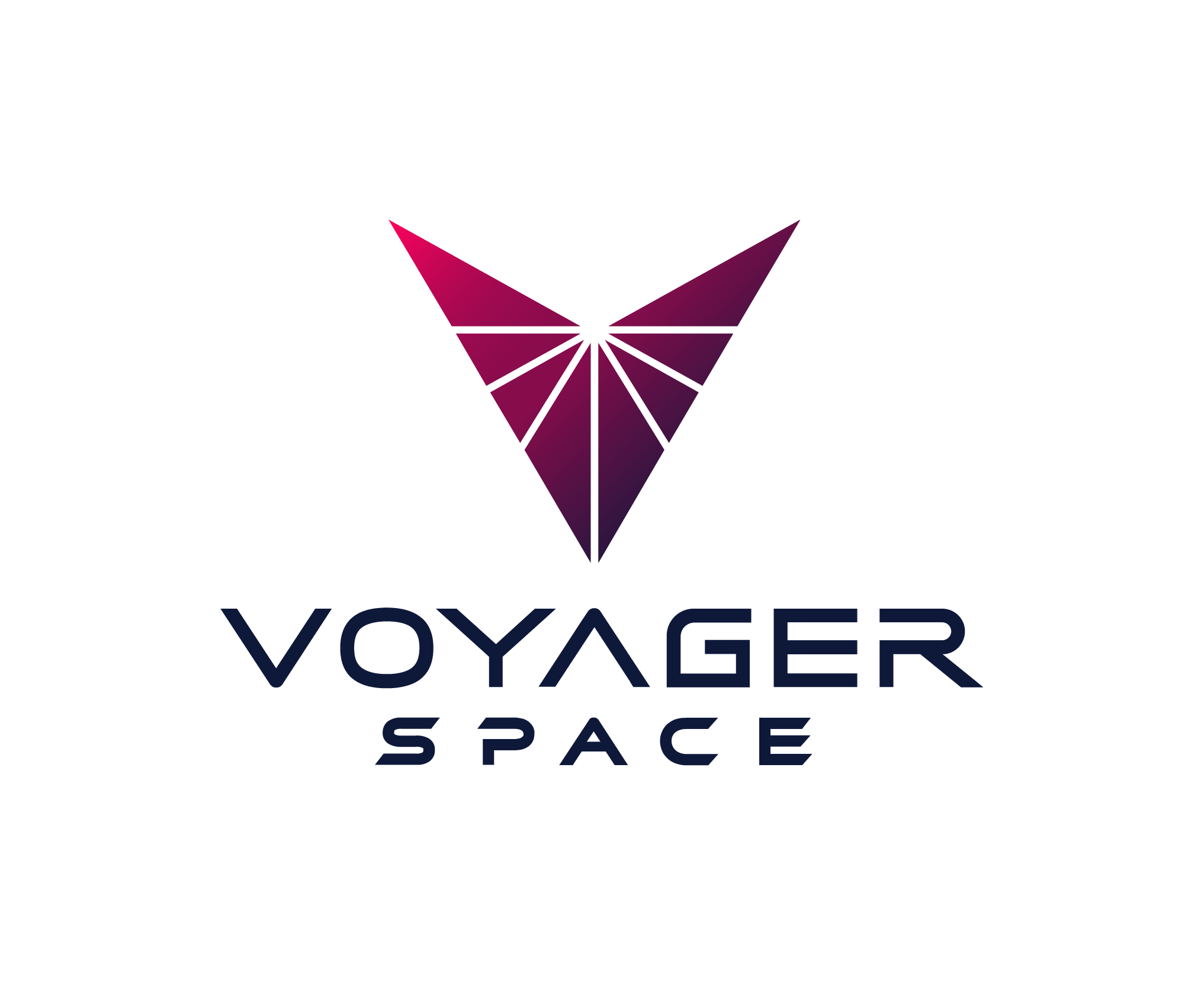 Voyager Space Logo